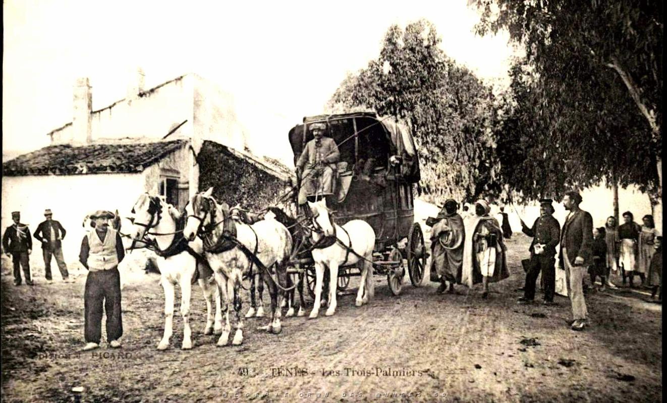 1018- Tenes -Les trois Palmiers.jpg